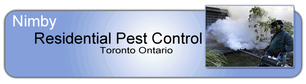 Residential Pest Control Toronto and Pest Identification